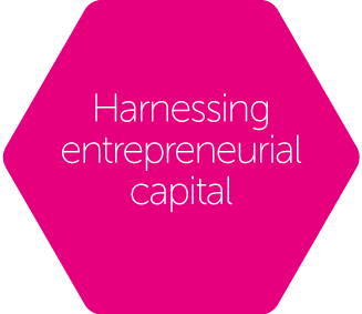 Harnessing Entrepreneurial Capital
